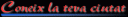coneixn.gif