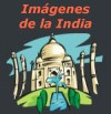 india.jpg